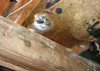 Mold Removal Remediation Expert In Bangor Me Fix Your Home Mold Removal In Stillwater